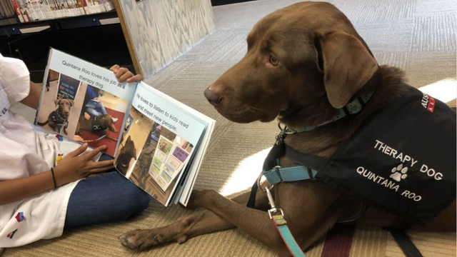 Reading therapy dog store training